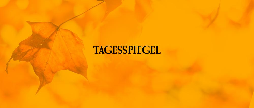Tagesspiegel Herbst Sale