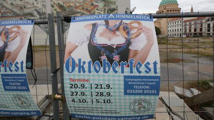 Die Oktoberfest-Plakate hängen derzeit an vielen Orten in Potsdam. 