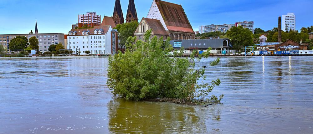 Das Wasser der Oder steht noch sehr hoch in Frankfurt.
