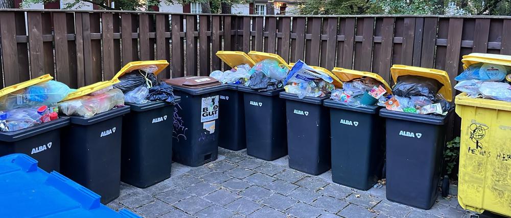 Die Waldsiedlung Krumme Lanke vermüllt: Das Entsorgungsunternehmen Alba holt seit Wochen den Plastikmüll nicht ab.
