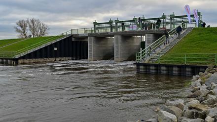 Über das Einlassbauwerk für den Flutungspolder im Nationalpark untres Odertal strömt das Wasser. Asngersicht dr Hochwasser
