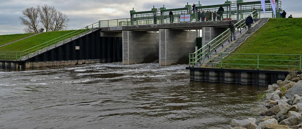 Über das Einlassbauwerk für den Flutungspolder im Nationalpark untres Odertal strömt das Wasser. Asngersicht dr Hochwasser