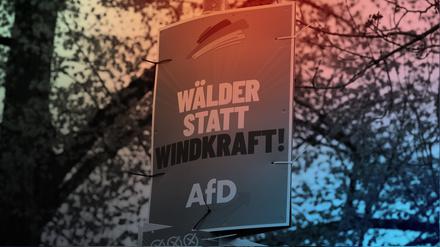 AfD-Wahlplakat zur Landtagswahl in Thüringen 2024. 