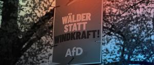 AfD-Wahlplakat zur Landtagswahl in Thüringen 2024. 