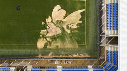 Starke Regenfälle und Überschwemmungen verursachten ein Erdloch auf dem Rasen des AFC Wimbledon.