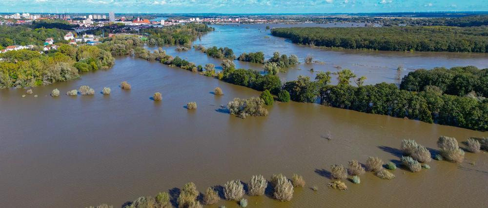 Die Wasserstände in Brandenburg sinken weiter. (Archivbild)