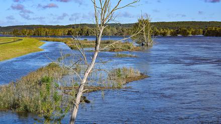 Brandenburg, Neurüdnitz: Das Hochwasser des deutsch-polnischen Grenzflusses Oder hat weite Bereiche bis zum Deich überflutet. Die Wasserstände in den Hochwassergebieten an der Oder gehen weiter leicht zurück.