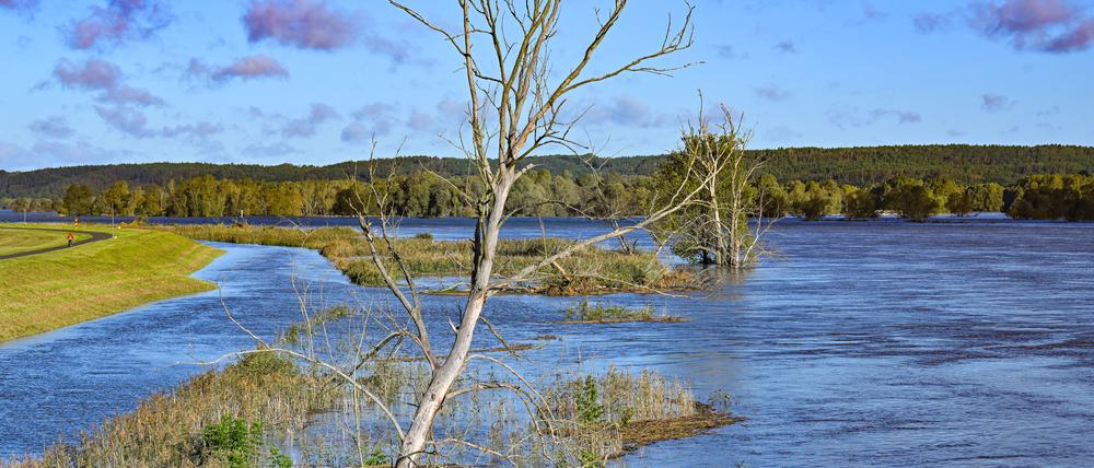 Brandenburg, Neurüdnitz: Das Hochwasser des deutsch-polnischen Grenzflusses Oder hat weite Bereiche bis zum Deich überflutet. Die Wasserstände in den Hochwassergebieten an der Oder gehen weiter leicht zurück.