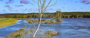Brandenburg, Neurüdnitz: Das Hochwasser des deutsch-polnischen Grenzflusses Oder hat weite Bereiche bis zum Deich überflutet. Die Wasserstände in den Hochwassergebieten an der Oder gehen weiter leicht zurück.