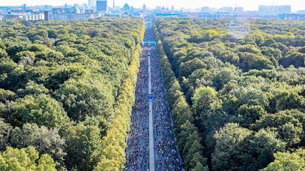  50. Berlin Marathon.