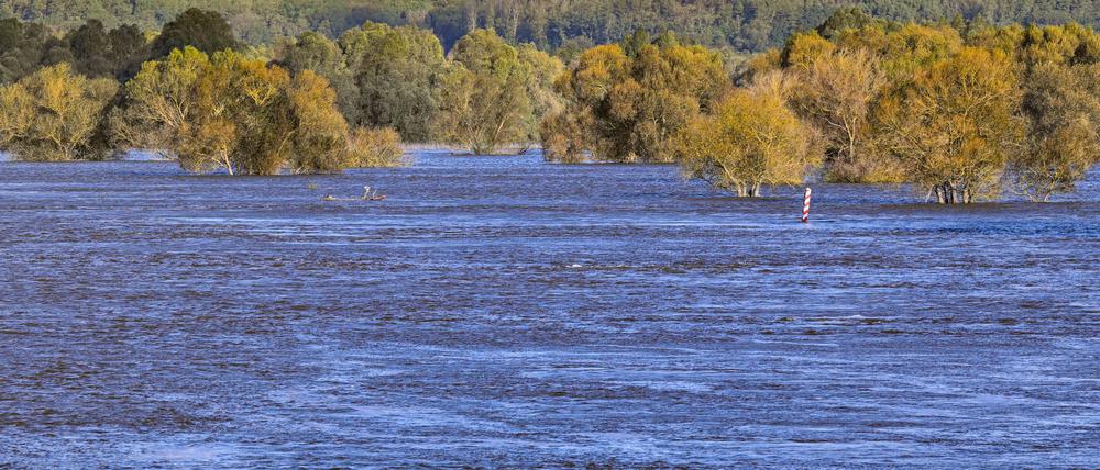 Das Hochwasser an der Oder geht in Brandenburg allmählich zurück (Archivbild).