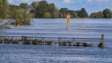 Das Hochwasser an der Oder geht zurück.