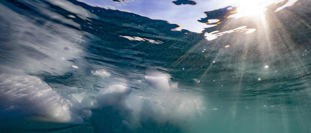 Diese Unterwasseraufnahme vom 16. August 2023 zeigt Fragmente eines Eisbergs, der aufgrund ungewöhnlich hoher Temperaturen im Scoresby Fjord in Grönland schmilzt.