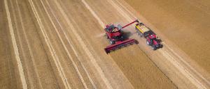 Mit einem Mähdrescher wird Wintergerste auf einem Feld geerntet.