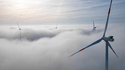 Die Windräder in einem Windpark westlich von Halle ragen aus dem Morgennebel hervor.