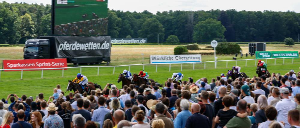 Der 34. Preis der Deutschen Einheit gehört zu den Saison-Highlights auf der Rennbahn Hoppegarten.