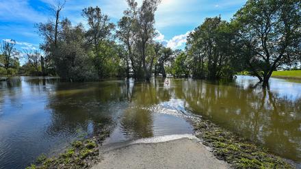 Das Hochwasser in Frankfurt (Oder) überschwemmte Wiesen und Wege. 
