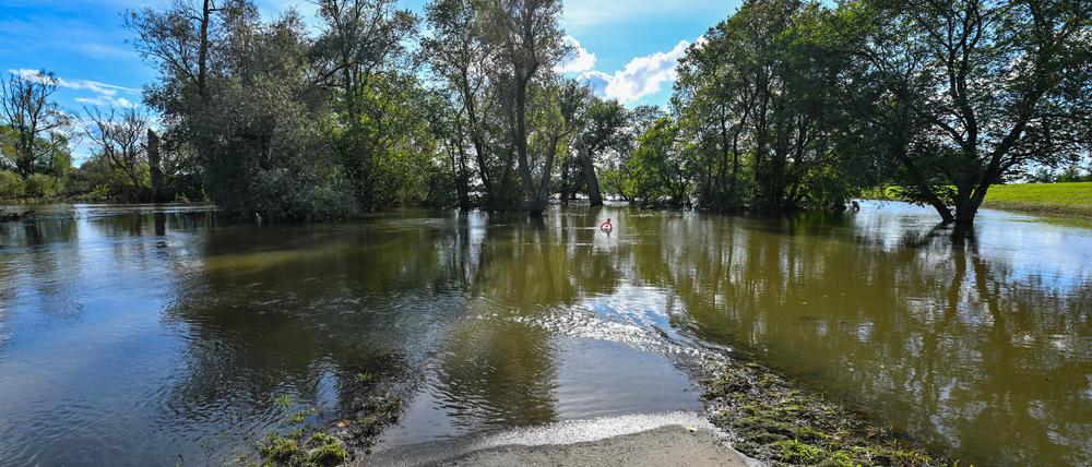Das Hochwasser in Frankfurt (Oder) überschwemmte Wiesen und Wege. 