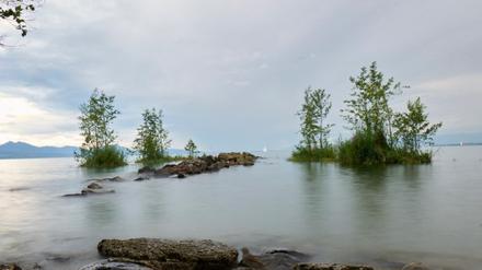 Diese Inseln schwimmen im Genfer See.