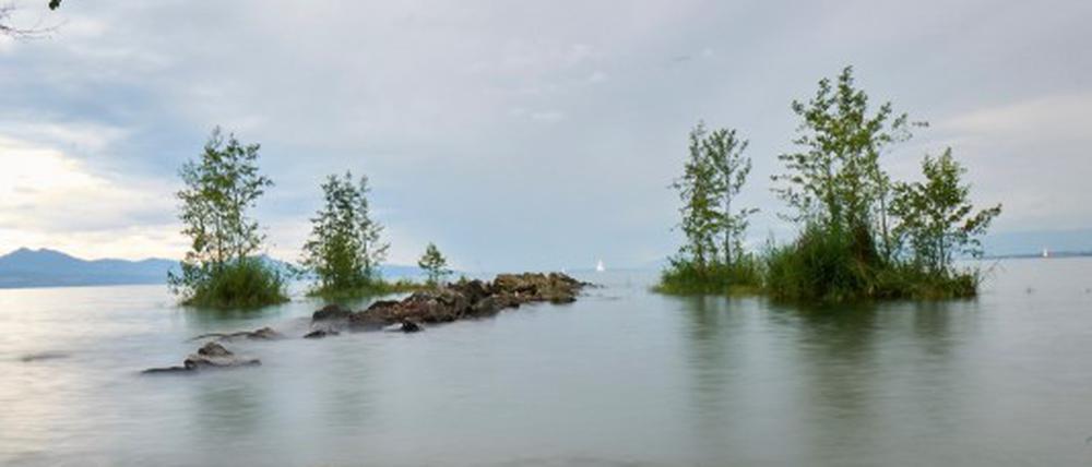 Diese Inseln schwimmen im Genfer See.