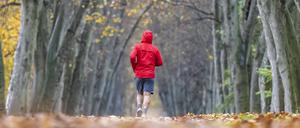 Ein Mann joggt im Herbst eine Allee entlang.