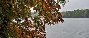Der Himmel über Brandenburg bleibt mit Wolken bedeckt. (Archivbild)