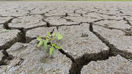 Zunehmende Defizite und Belastungen der globalen Wasserressourcen haben Experten der Weltorganisation für Meteorologie (WMO) festgestellt.
