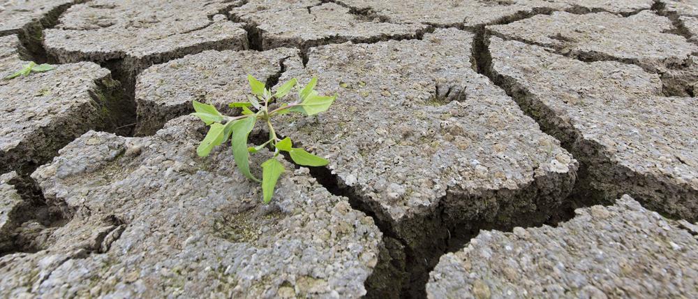 Zunehmende Defizite und Belastungen der globalen Wasserressourcen haben Experten der Weltorganisation für Meteorologie (WMO) festgestellt.