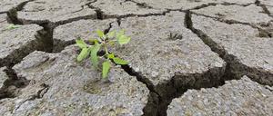 Zunehmende Defizite und Belastungen der globalen Wasserressourcen haben Experten der Weltorganisation für Meteorologie (WMO) festgestellt.