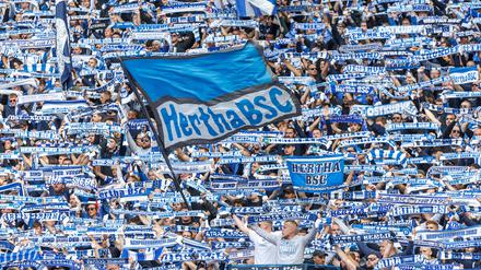 Fußball: 2. Bundesliga, Hertha BSC - Fortuna Düsseldorf, 5. Spieltag, Olympiastadion. Fans von Hertha BSC stimmen sich auf das Spiel ein. +++ dpa-Bildfunk +++