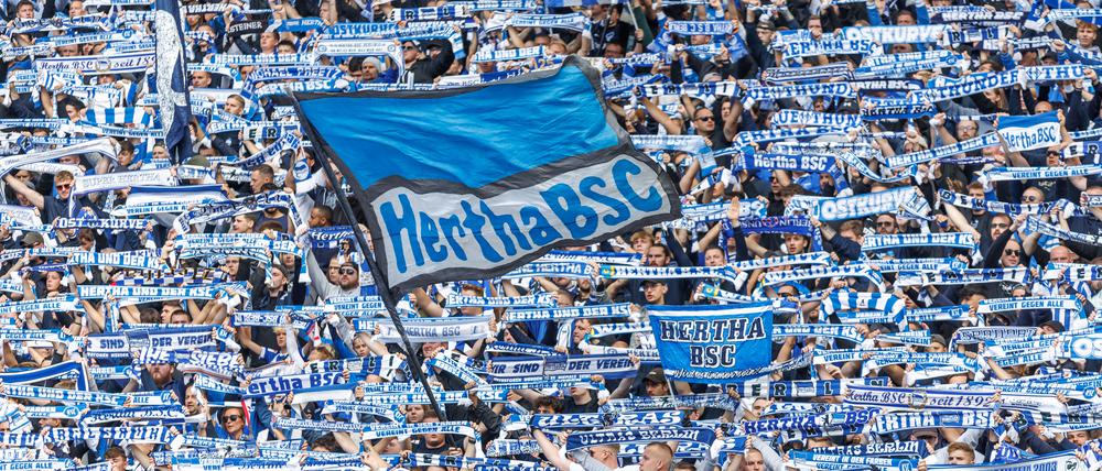 Fußball: 2. Bundesliga, Hertha BSC - Fortuna Düsseldorf, 5. Spieltag, Olympiastadion. Fans von Hertha BSC stimmen sich auf das Spiel ein. +++ dpa-Bildfunk +++