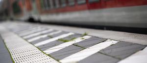 ARCHIV - 16.09.2021, Schleswig-Holstein, Ahrensburg: Ein Regionalzug der Deutschen Bahn (DB) fährt an einem Bahnsteig vorbei, auf dem Gras zwischen den Markierungen wächst. (zu dpa: «Scheibe von Regionalbahn mit Stein eingeworfen») Foto: Jonas Walzberg/dpa +++ dpa-Bildfunk +++