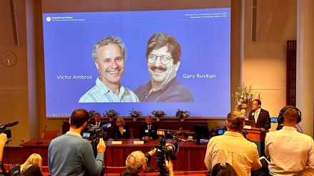 Der Nobelpreis für Medizin geht in diesem Jahr Victor Ambros  (li) und Gary Ruvkun für die Entdeckung der microRNA und ihrer Rolle bei der Genregulierung.