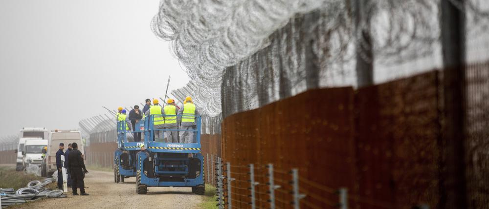 Arbeiter befestigen Stacheldraht am Zaun entlang der ungarischen Grenze zu Serbien. (Archivbild)