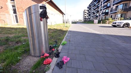 In der Potsdamer Speicherstadt gibt es Beschwerden über Müll.