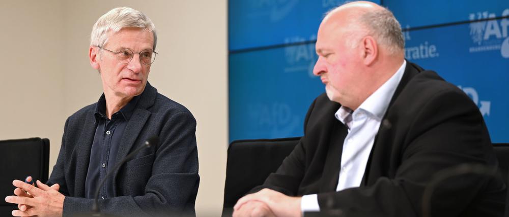 Die AfD-Fraktion will wieder im Landtagspräsidium vertreten sein, fordert Fraktionschef Hans-Christoph Berndt (l). Neben ihm der bisherige Vizepräsident Andreas Galau.