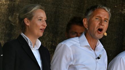 Alice Weidel (l), AfD-Bundessprecherin, und Björn Höcke, AfD-Spitzenkandidat in Thüringen, nehmen an einer Demonstration der AfD als Wahlkampfabschluss auf dem Domplatz teil. (Archivbild)