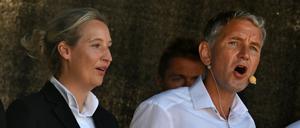 Alice Weidel und Björn Höcke (AfD).