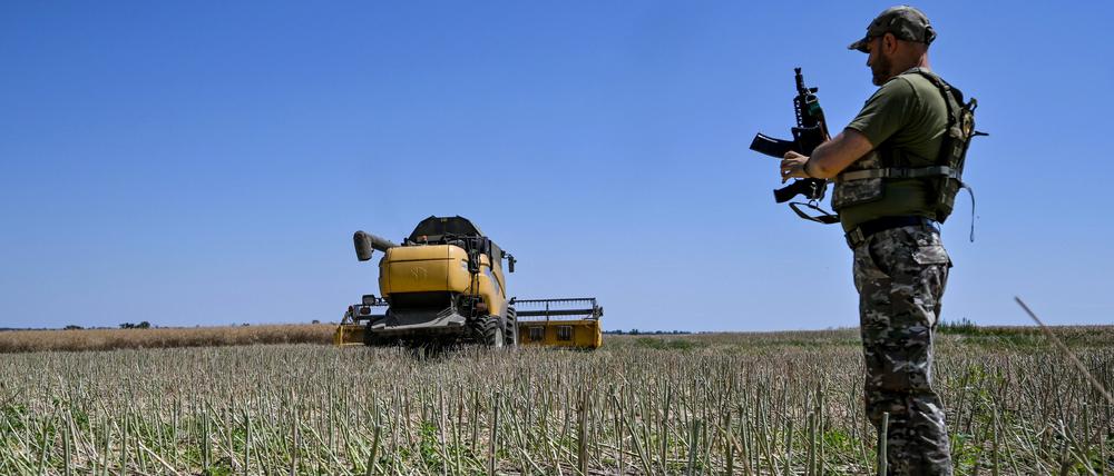 Ein Soldat steht während der Erntezeit auf einem ukrainischen Feld. 