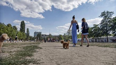 Der ausgetrocknete Berliner Mauerpark im Hochsommer. 