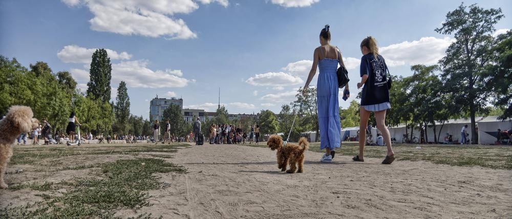 Der ausgetrocknete Berliner Mauerpark im Hochsommer.