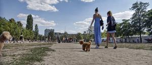 Der ausgetrocknete Berliner Mauerpark im Hochsommer. 