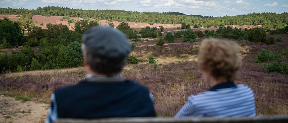 08.08.2024, Niedersachsen, Oberhaverbeck: Ein Ehepaar blickt in die Heidelandschaft.
