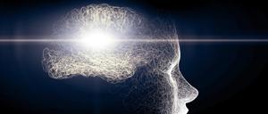 Rätselhaftes Gehirn: Noch immer lassen sich Krankheiten wie Parkinson und Alzheimer nicht heilen.