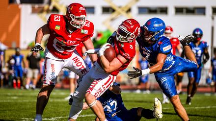 Die Potsdam Royals (in Rot) sind in dieser Saison ungeschlagen. Das soll auch im Finale gegen die Dresden Monarchs so bleiben.