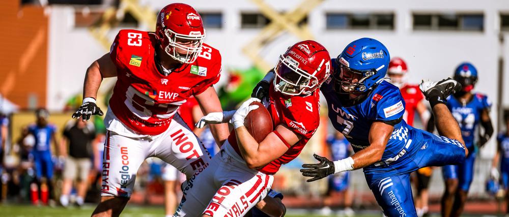 Die Potsdam Royals (in Rot) sind in dieser Saison ungeschlagen. Das soll auch im Finale gegen die Dresden Monarchs so bleiben.