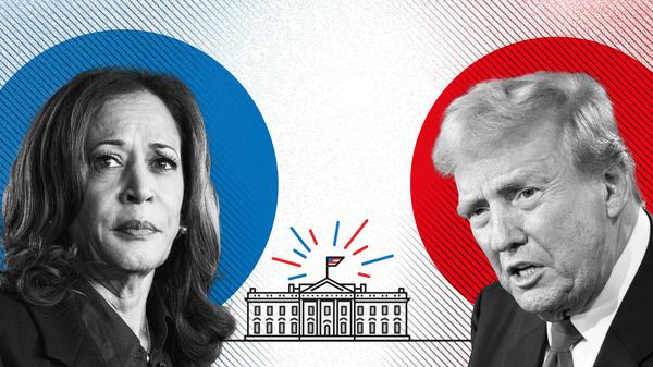 Aufmacher US-Wahl Explainer