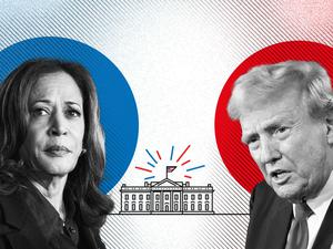 Aufmacher US-Wahl Explainer