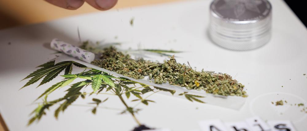 Ein Joint mit Cannabis ist in einem «Social Club» namens «Joints-Venture» zu sehen. Die Bezirksregierung Detmold hat der ersten Anbauvereinigung für Cannabis in Nordrhein-Westfalen eine Genehmigung erteilt. Anbauvereinigungen sollen dazu dienen, dass man dort mit Gleichgesinnten Cannabis für den eigenen Gebrauch züchtet. 
