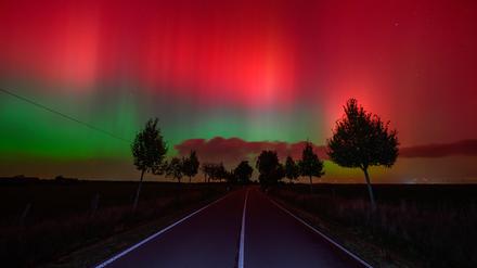 Polarlichter leuchten am Nachthimmel über einer Straße im östlichen Brandenburg.